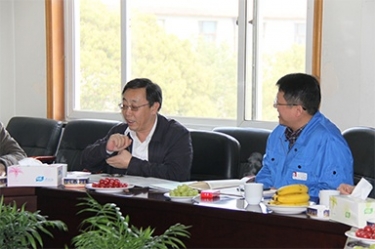 2013年3月18日，時任國家工信部節能司副司長楊鐵生一行蒞臨公司參觀指導